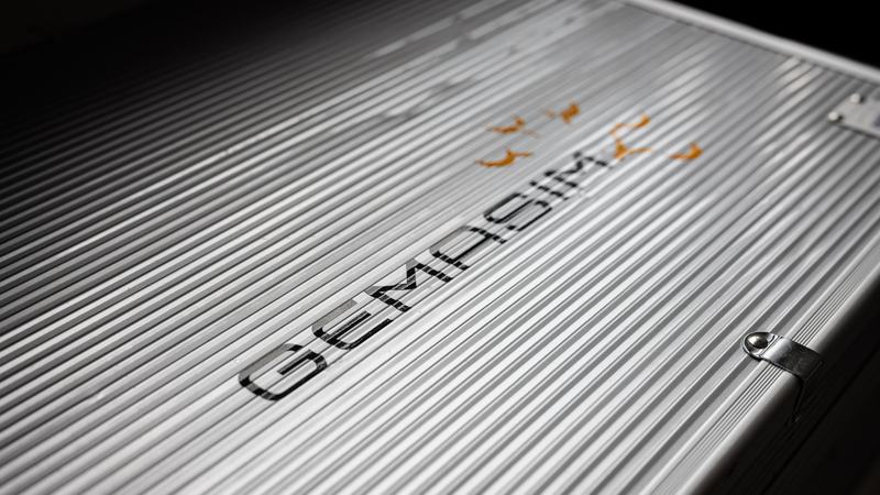 Verismo-GemaSim Session