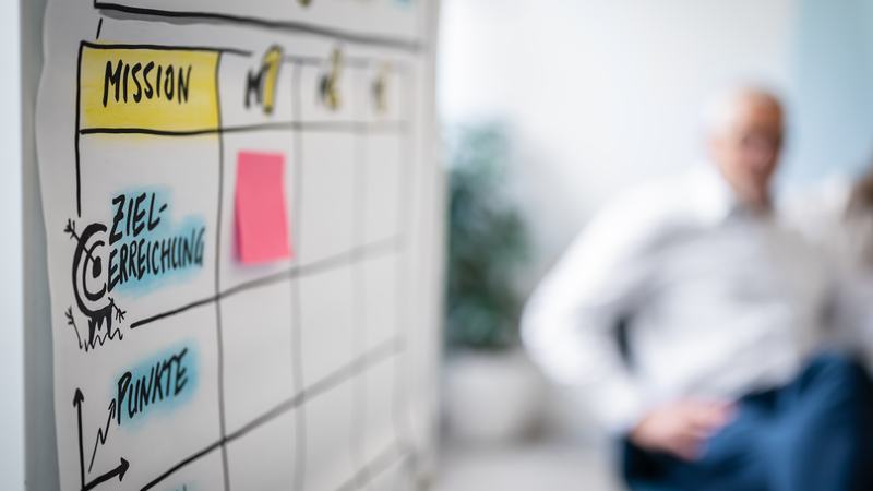 Verismo-GemaSim Session