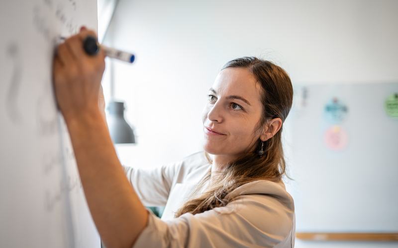 Verismo-GemaSim Session