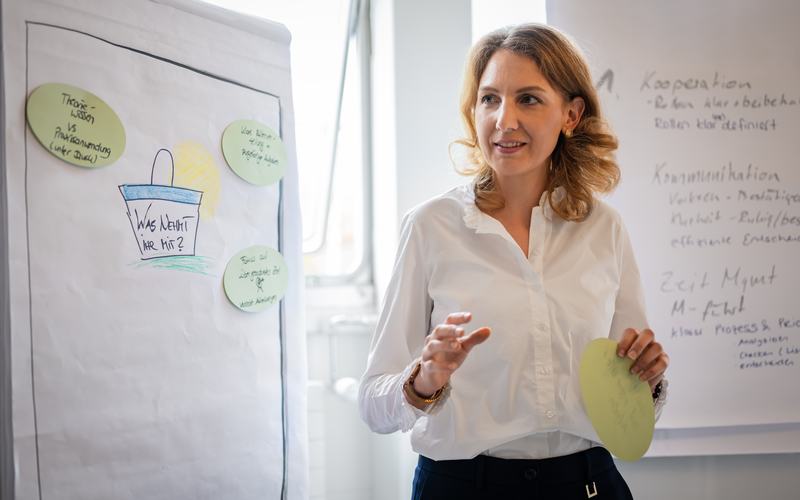 Verismo-GemaSim Session